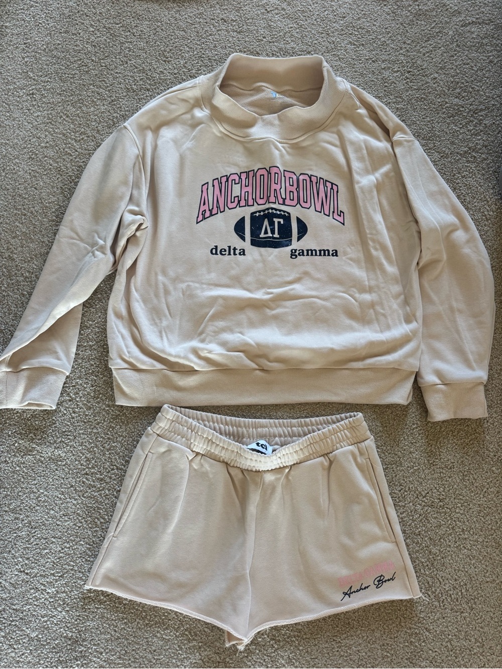 TCL Cream Anchor Bowl Delta Gamma Sweatshirt with Pink & Navy Graphic